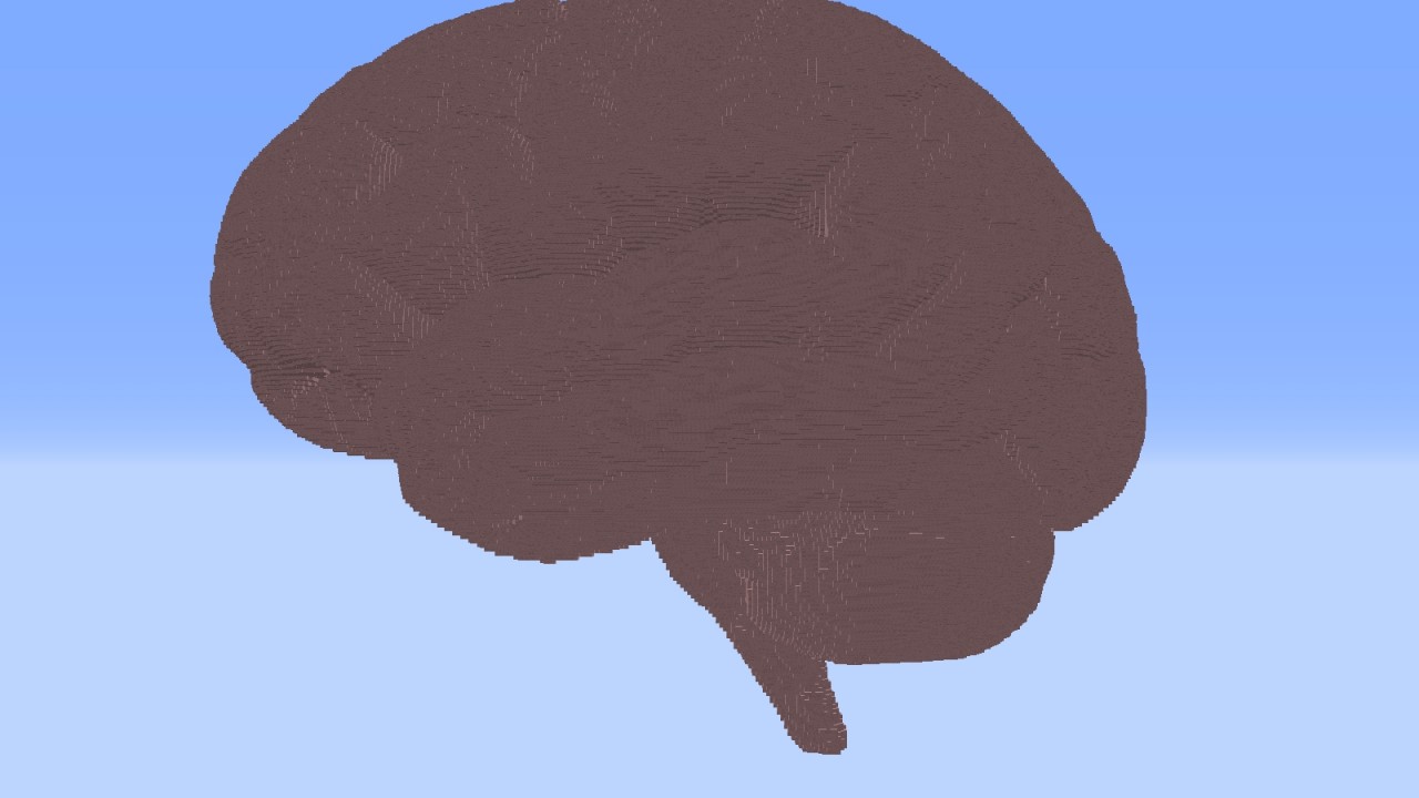 Brain [Anatomy] Minecraft Map