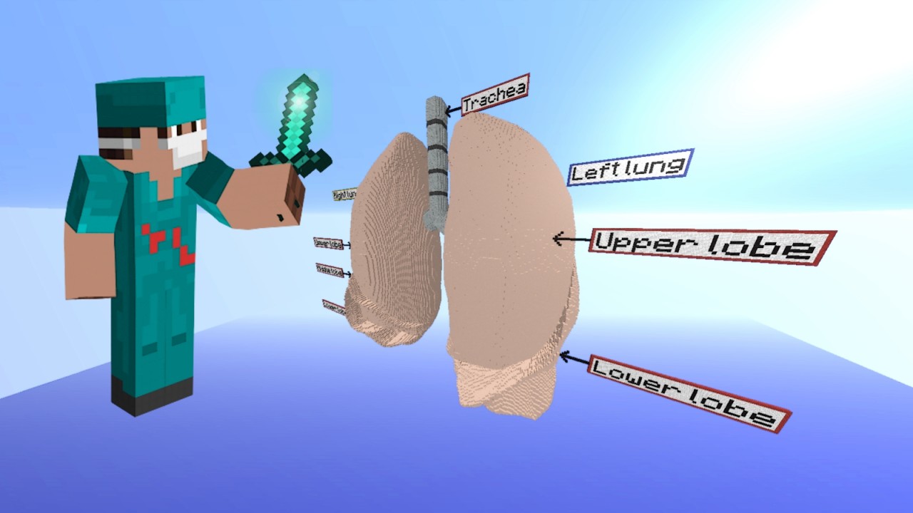 Lungs [Anatomy] Minecraft Map