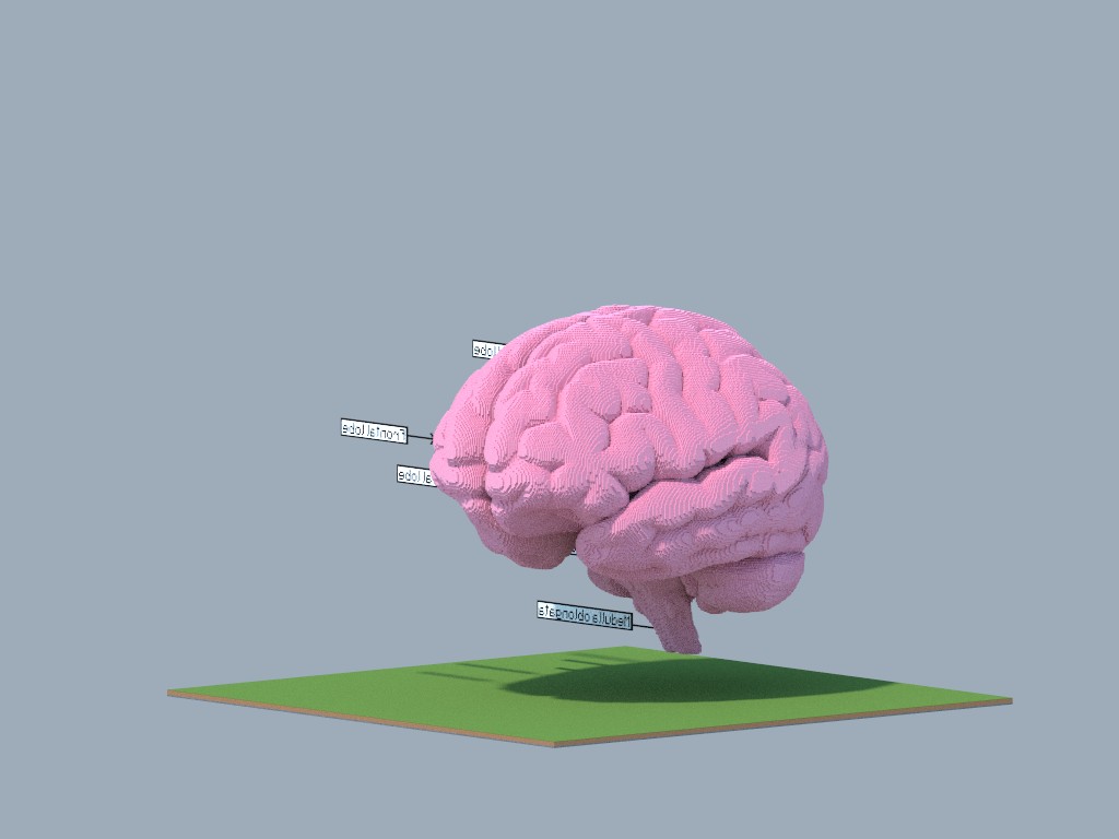 Brain [Anatomy] Minecraft Map