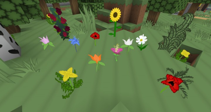 flowers