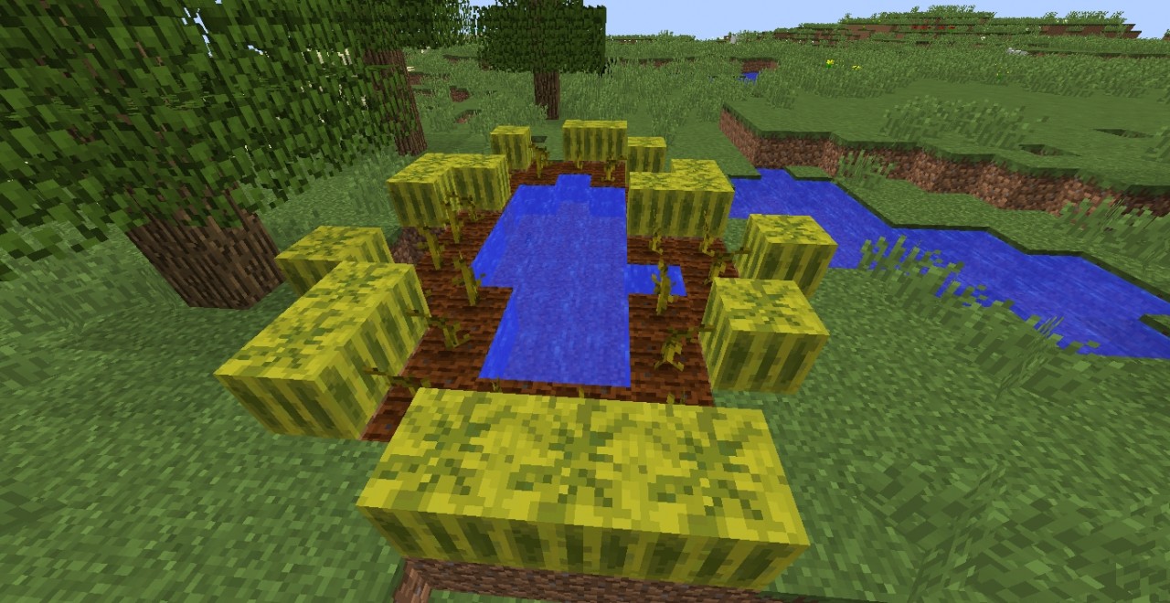 Time travel Minecraft Map