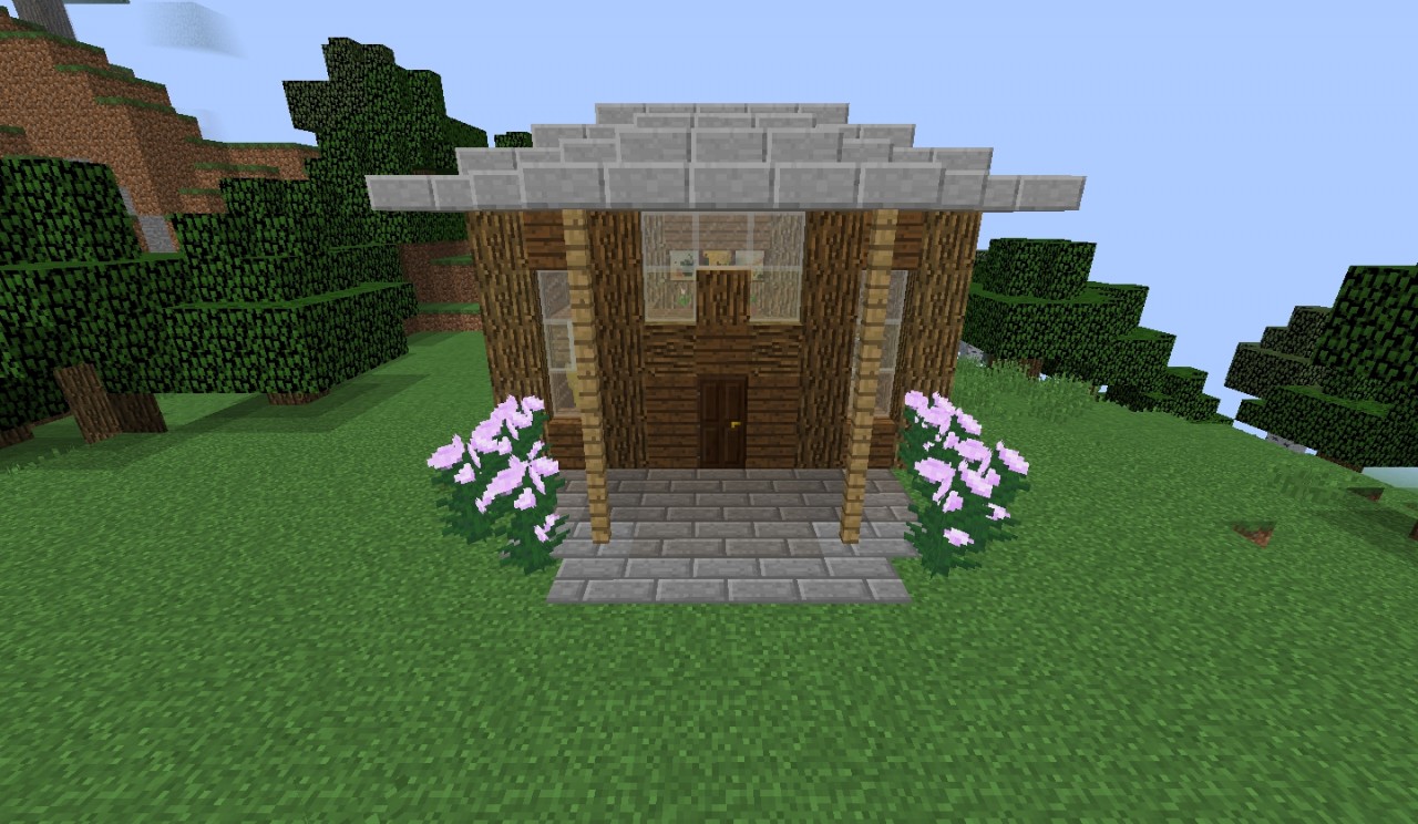 Little Town House Minecraft Map