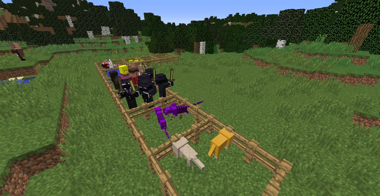 T Salad Pack Minecraft Texture Pack