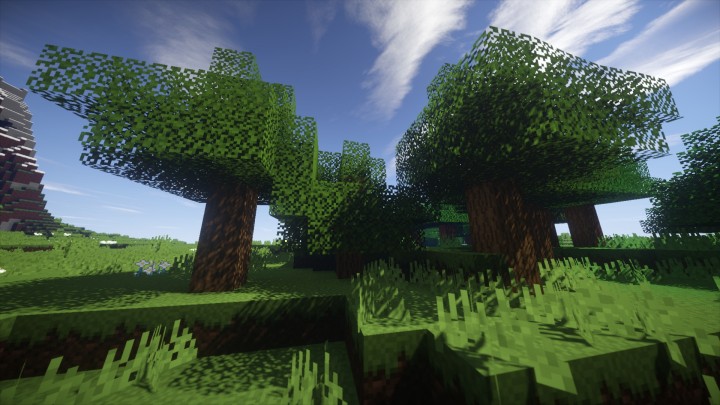Trees