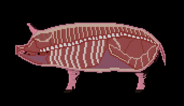 Pig - Anatomy Minecraft Map