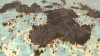 Render by Mrbatou 