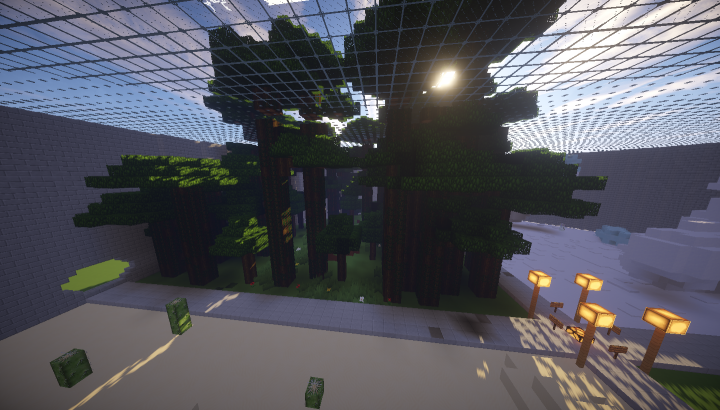 Four Biomes Server Spawn