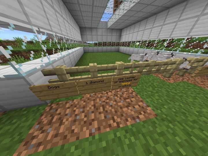 Pet Shop Minecraft Map