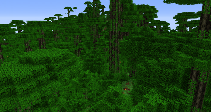 The forest
