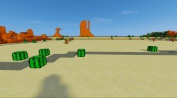 Miniature Road Runner Minecraft Map & Project