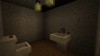 Citizen House Bathroom