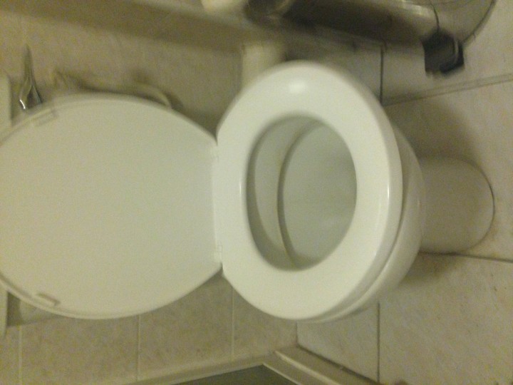 How To Make A Working Toilet!