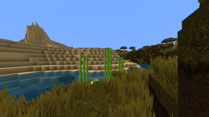 Without Shader
