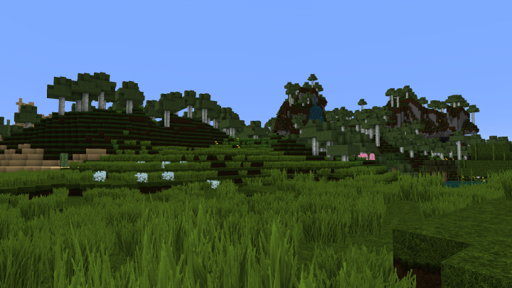 Without Shader