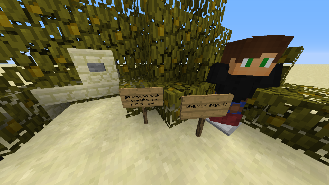 Head Giving Command Minecraft Map