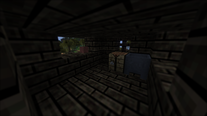 Using Shaders Mod