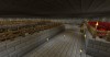 2nd floor of hidden basement animals