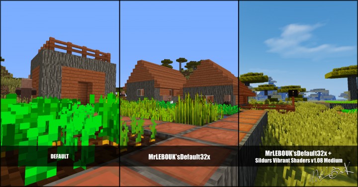 Village savannah
