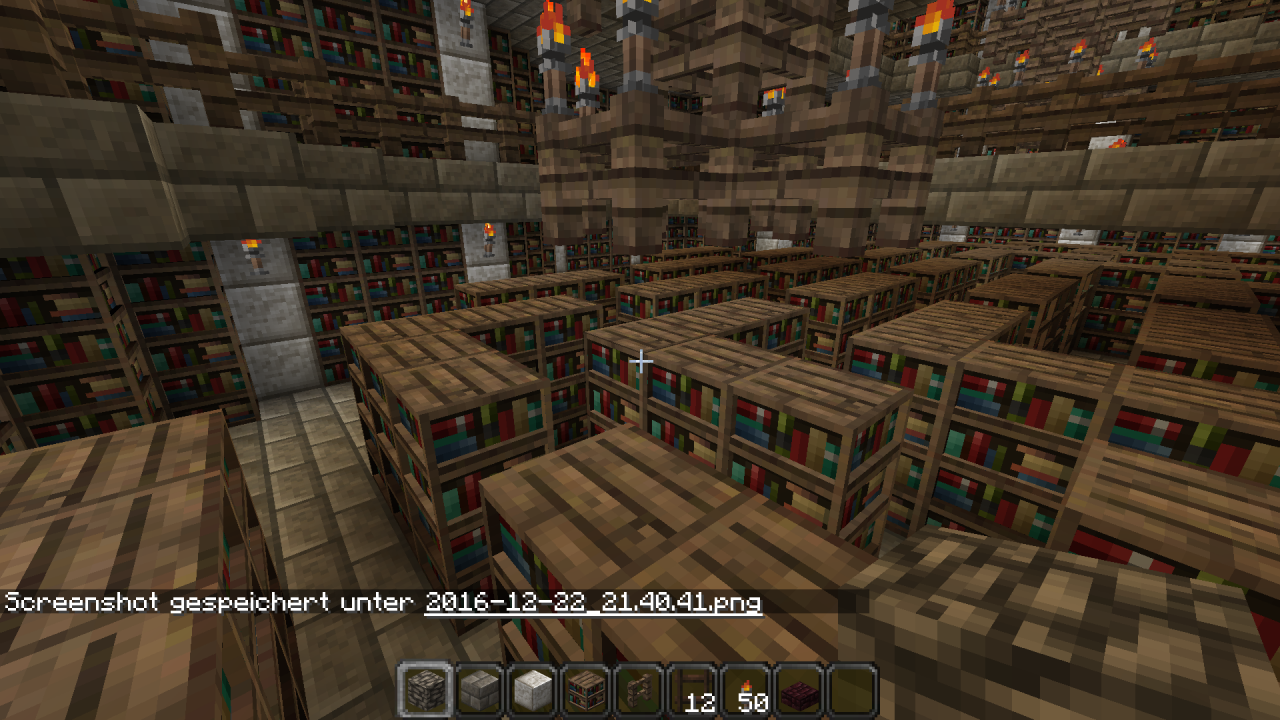 Library Minecraft Map
