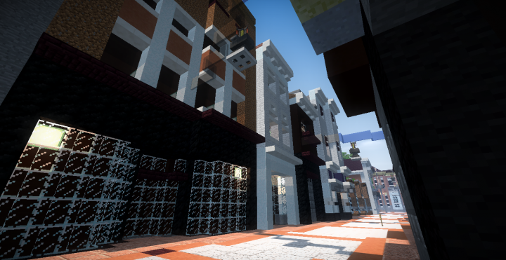 'S-Hertogenbosch on MC server: OCD part: 1 and 1/5