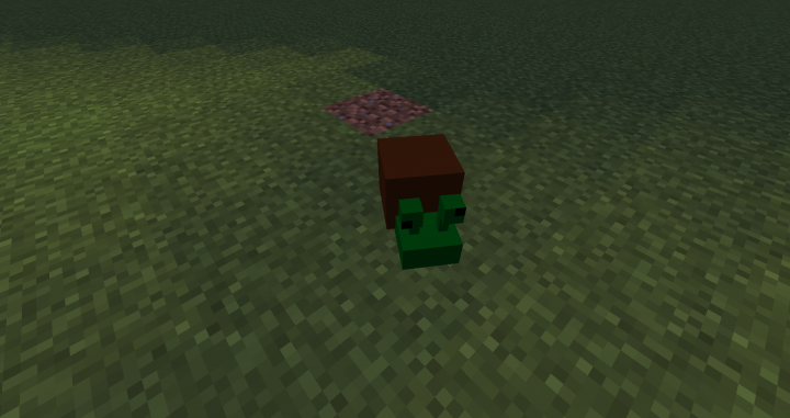 Slimy Snail!
