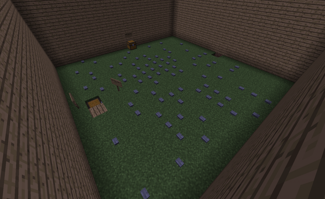 Find the BUTTON Minecraft Map