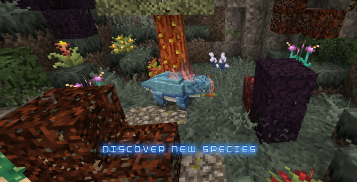 Discover new species !