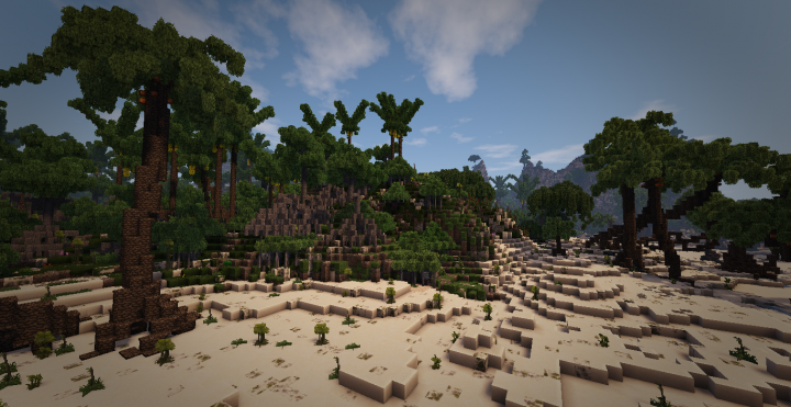 mangrove forest border