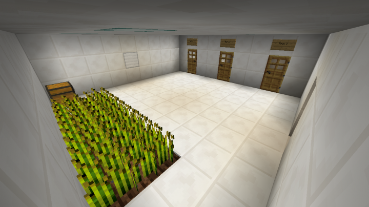 The Lab Minecraft Map