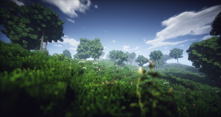 Rolling Hills and Meadows