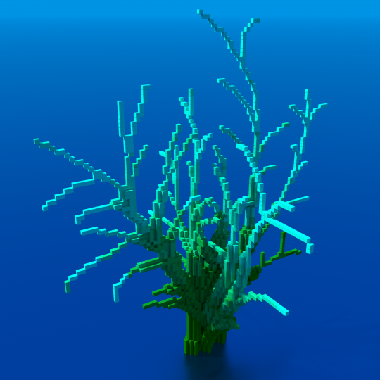 4 corals ! Minecraft Map