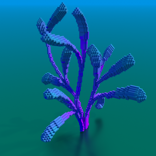 4 corals ! Minecraft Map