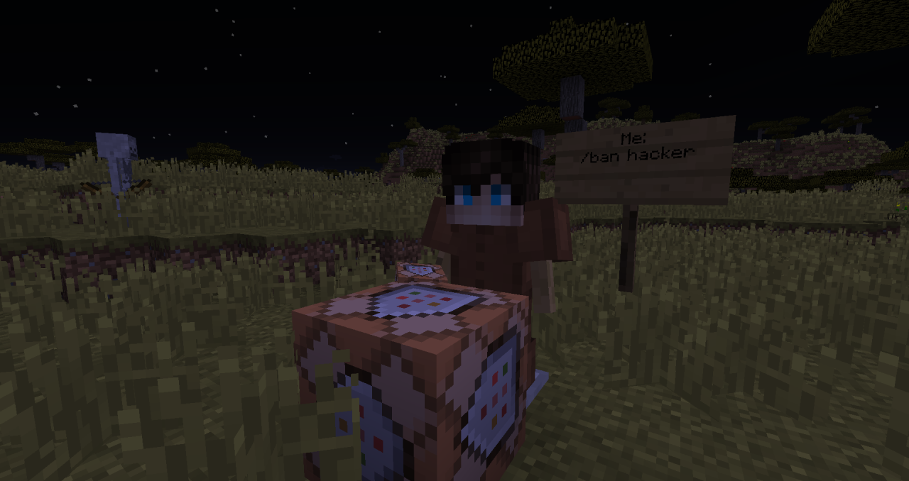 How To Get Custom Heads In Minecraft Minecraft Map