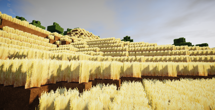 Rizières Minecraft Map