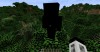Null Entity Mod Minecraft Mod
