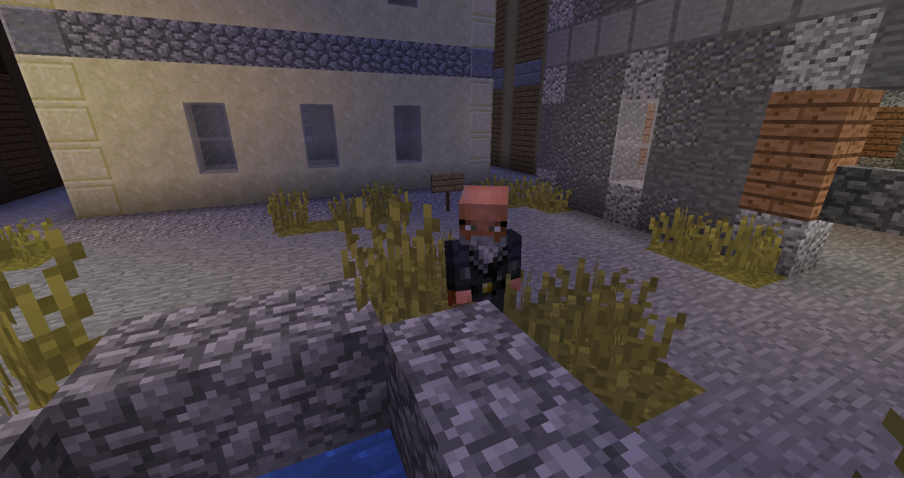 grounded Minecraft Server