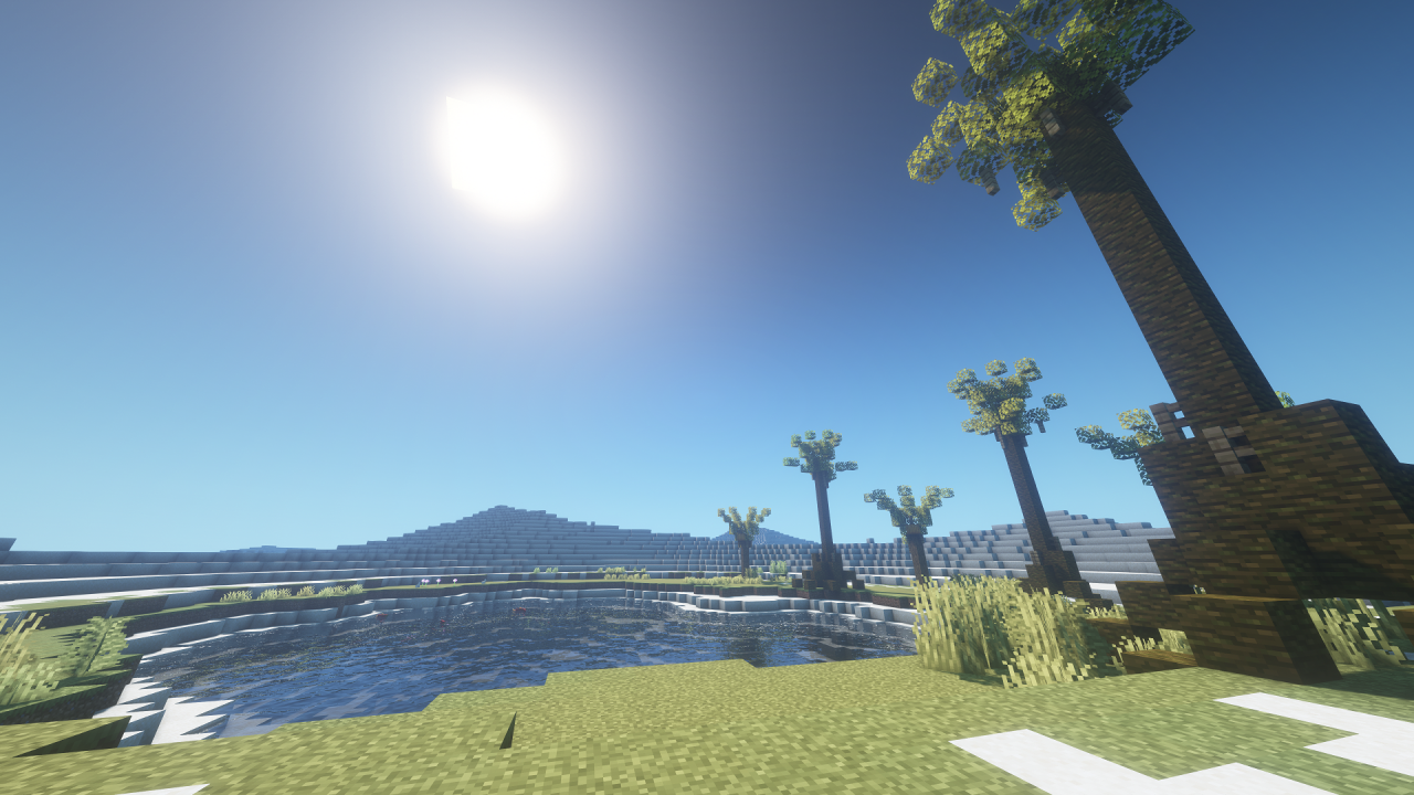 Oasis Minecraft Project