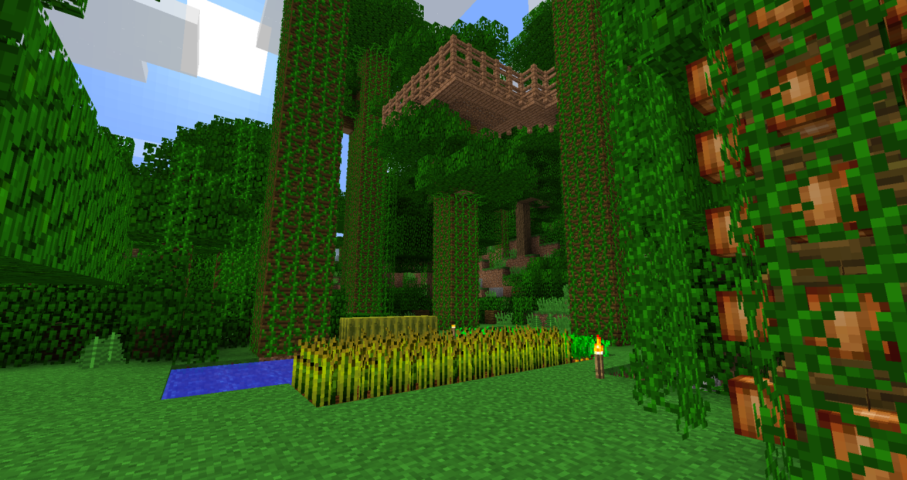 Starter Map Minecraft Map