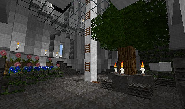 The garden.
