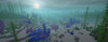1.21 Coral reefs