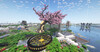 Player Base Near New Haven