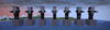 all types of zombie villagers