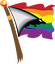 Participant