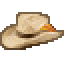 Participant