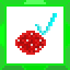 Participant