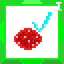 Participant