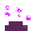 Participant