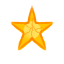Participant