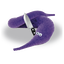 Participant