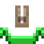 Participant